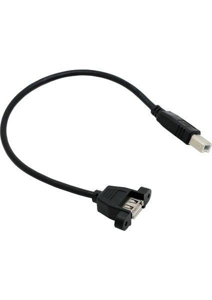 25CM 2.0 USB Kablosu 2.0 A Dişi Jack'ten B'ye Erkek Fiş Yazıcı Için USB Adaptörü USB Af'den Bm'ye Kablo Dönüştürücü (Yurt Dışından)