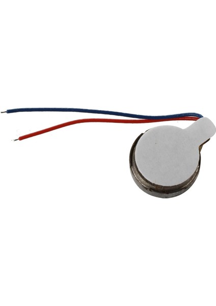 Titreşim Motoru-1 x Dc Titreşim Motoru-Gümüş Ton (Yurt Dışından)