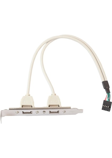 2 Port Usb2.0 Dişi 9 Pin Anakart Başlık Kablosu Adaptörü 30 cm USB Panel Kablosu Pc Masaüstü Bilgisayar (Yurt Dışından) modelleri