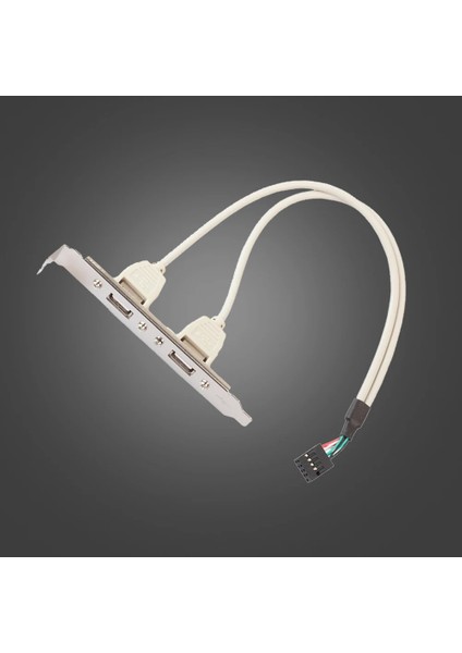 2 Port Usb2.0 Dişi 9 Pin Anakart Başlık Kablosu Adaptörü 30 cm USB Panel Kablosu Pc Masaüstü Bilgisayar (Yurt Dışından) indirimleri