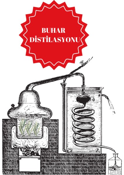 Tıbbi Biberiye Uçucu Yağı 1 kg fiyatları