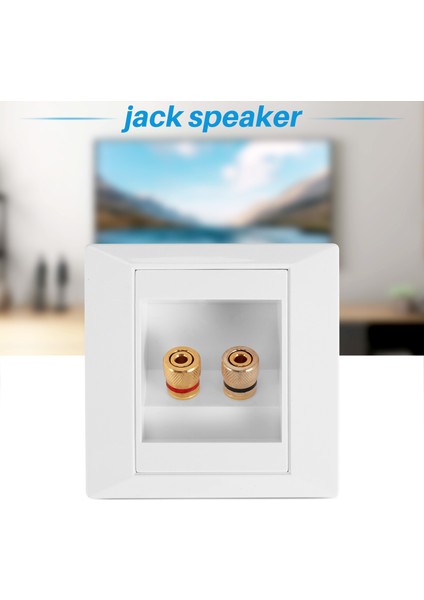 Sodıal(R)2 Jack Hoparlörlü Duvar Prizi Bağlantı Portu Beyaz (Yurt Dışından) modelleri