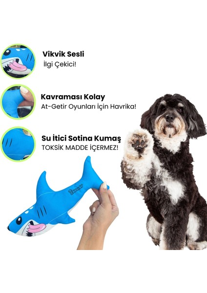 Sahil Havhavları Temalı Köpek Oyuncağı Vikvik Sesi Çıkaran Peluş Köpek Balığı, Köpek Uyku Arkadaşı