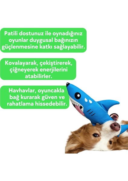 Sahil Havhavları Temalı Köpek Oyuncağı Vikvik Sesi Çıkaran Peluş Köpek Balığı, Köpek Uyku Arkadaşı