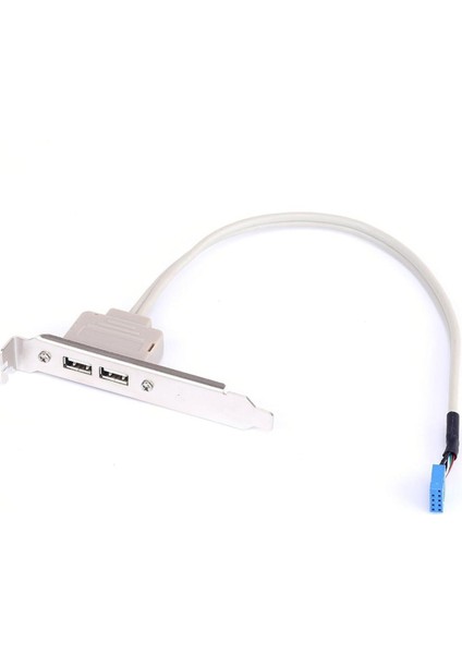 2 Port USB 2.0 Ila 9 Pin Anakart Başlık Braketi Uzatma Kablosu Bilgisayar Arka Panel Braketi 9pin Sıcak Satış Adaptörü Yeni (Yurt Dışından)