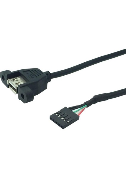 1 Adet 30 cm USB Kablosu Tip A Dişi 2.54MM 5pin Dişi Dupont 5 Pin Dişi Başlık Anakart Adaptör Kablosu (Yurt Dışından)