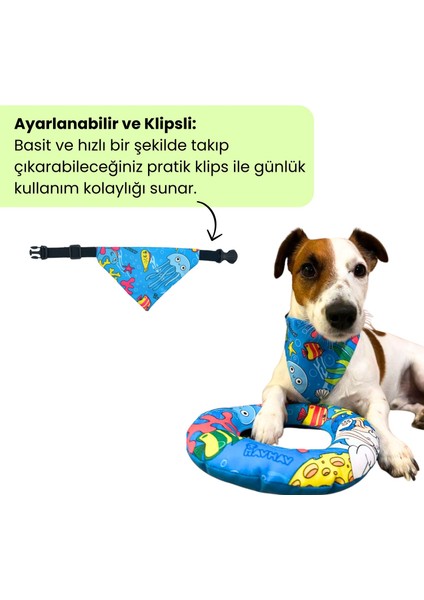 Sahil Havhavları Temalı Köpek Fuları (S, M, L) Ayarlanabilir Bandana, Köpek Aksesuarı, Tasma