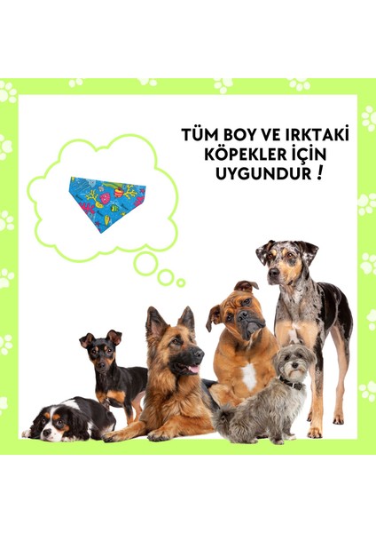 Sahil Havhavları Temalı Köpek Fuları (S, M, L) Ayarlanabilir Bandana, Köpek Aksesuarı, Tasma