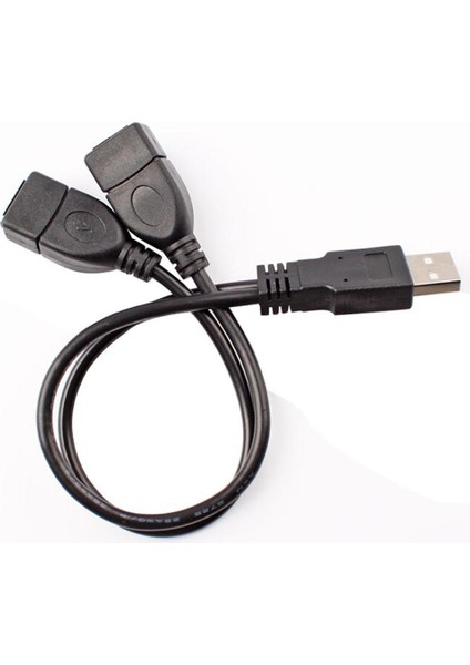 Yeni USB 2.0 A Erkek - 2 Çift Çift USB Dişi Splitter Kablo Hub Şarj Cihazı #79972 (Yurt Dışından)