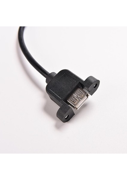 USB 2.0 Erkek - Dişi Panel 30CM USB 2.0 A Erkek - Usb2.0 A Dişi Uzatma Kalıplı Panel Montajlı Uzatma Bağlantı Noktası Kablosu (Yurt Dışından)