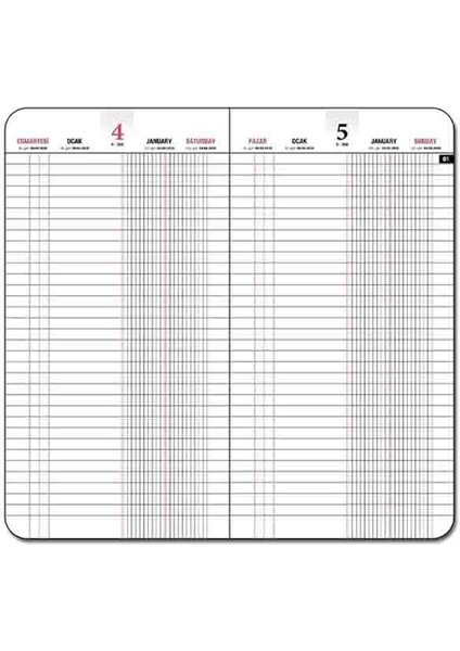 2025 Kasa Ajandası 17X33 Ticari Günlük Ajanda 118-TCK