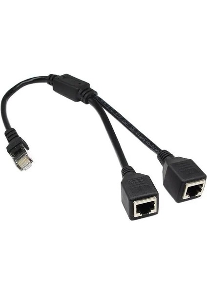 RJ45 1 Erkek 2 Dişi Soket Bağlantı Noktası Lan Ethernet Ağ Ayırıcı Y Adaptör Kablosu 0.25 M (Yurt Dışından) indirimleri