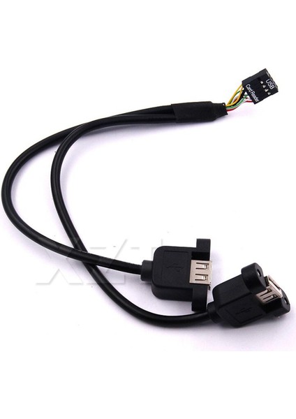 1 Adet 30 cm Anakart Dahili 9pin Pitch 2.54MM Çift Bağlantı Noktalı USB 2.0 A Dişi Vida Kilit Panel Montaj Kablosu (Yurt Dışından)