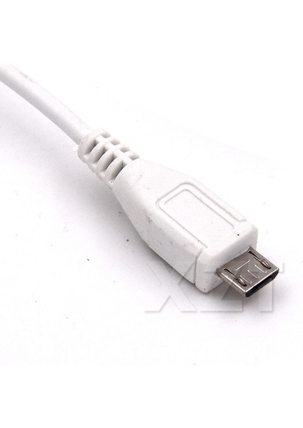 At Mikro USB 2.0 5 Pin Ethernet 10/100 M RJ45 Ağ Lan Kablosu Adaptör Kartı Mikro Usb'den Lan Kartına Konektörü Tablet Için (Yurt Dışından) modelleri
