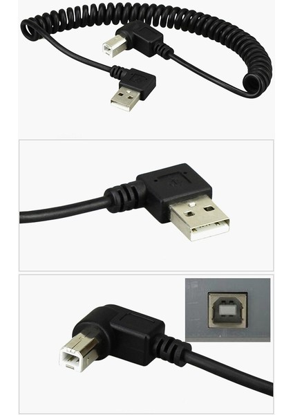 /4ft USB 2.0 Erkek - 4pin USB B Tipi Sağ Açı Geri Çekilebilir Veri Usb2.0 Yazıcı ve Tarayıcı Için Şarj Kablosu (Yurt Dışından)