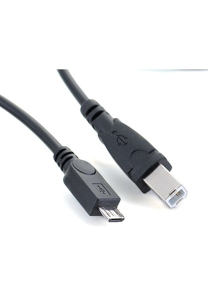 M USB 2.0 Standart B Erkek USB Mikro 5 Pin 5pin Erkek Veri Kablosu Tablet Hub Sabit Disk Yazıcı Için (Yurt Dışından) fiyatları