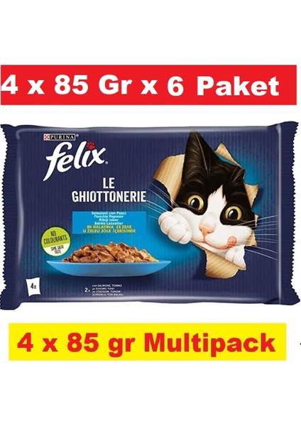 Multipack Somonlu ve Ton Balıklı Yetişkin Kedi Yaş Maması 4X85 gr x 6 Paket