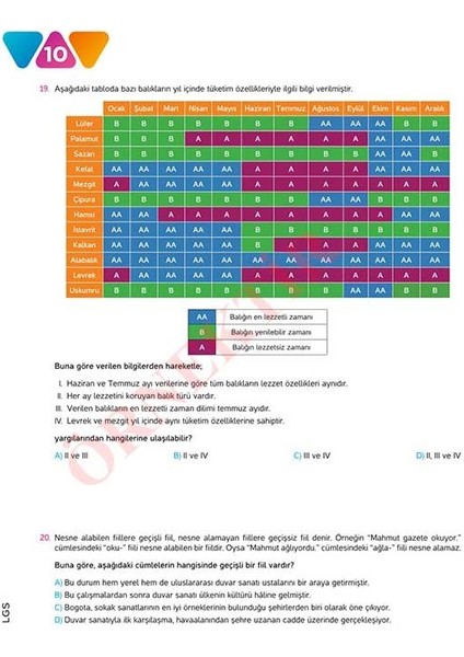 Lgs Türkçe 10'lu Branş Denemeleri | Video Çözümlü | Meb Müfredatına Uygun