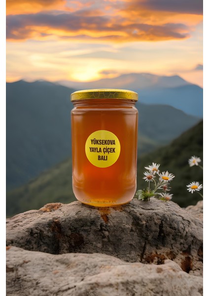 Yüksekova Yayla Çiçek Balı 850GR fiyatları