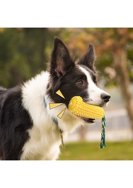 Köpek Diş Sağlığına Yardımcı Mısır Çekiştirme ve Isırma Oyuncağı Düdüklü indirimleri