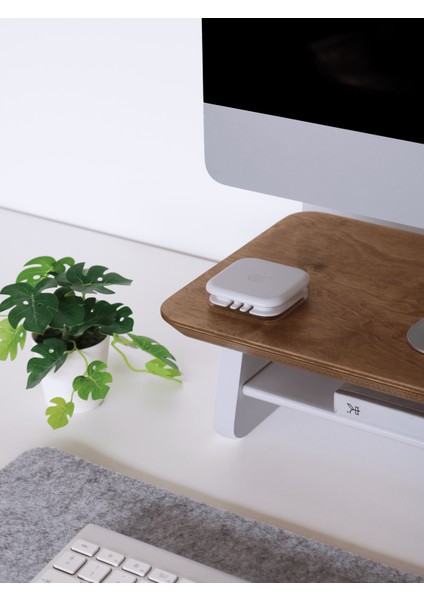 Fagus Wood Küçük Monitör Standı (Meşe)