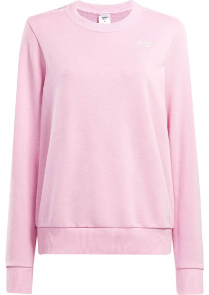 Rı Sl Ft Crew Pembe Kadın Sweatshirt fırsatları