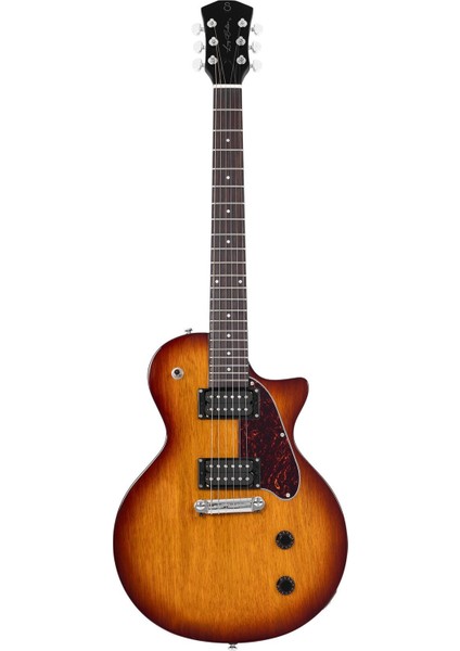 Larry Carlton L3 Hh Elektro Gitar Ts