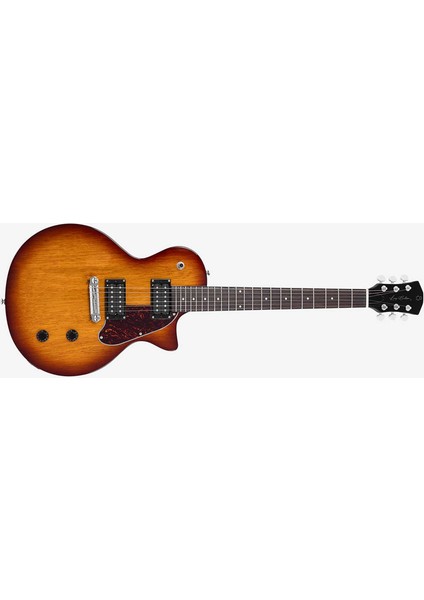 Larry Carlton L3 Hh Elektro Gitar Ts