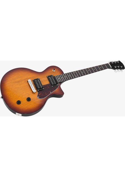 Larry Carlton L3 Hh Elektro Gitar Ts