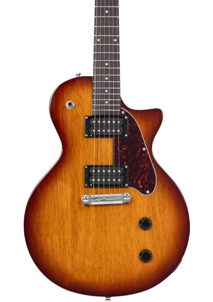 Larry Carlton L3 Hh Elektro Gitar Ts