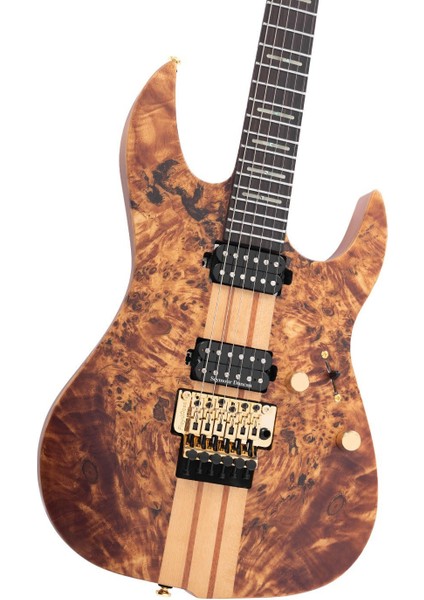 Larry Carlton X10 Elektro Gitar Nts