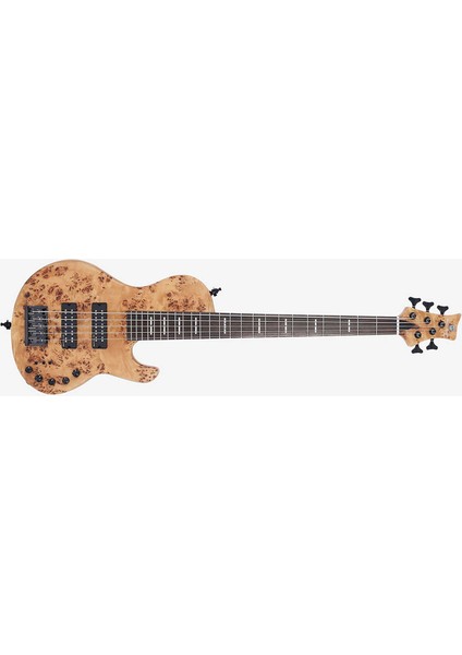 Marcus Miller F10 5 Telli Bas Gitar Nts fiyatları