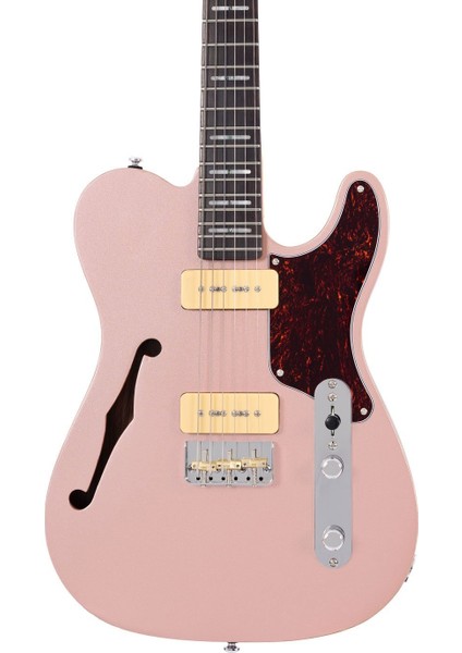 Larry Carlton T7TM Elektro Gitar Rgl