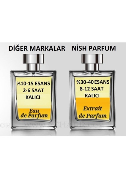 Parfum W-13 Extrait De Parfum 50ML Oriental