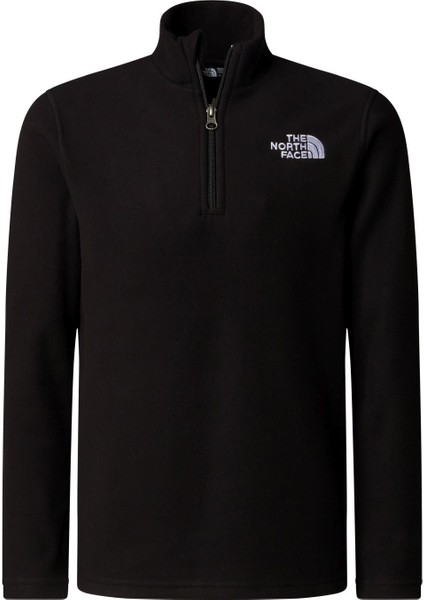 Genç Çocuk Glacıer Kısa Fermuar Polar NF0A8AZMJK31