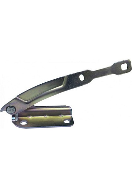 Motor Kaput Menteşesi Sol Symbol 2013 12