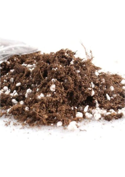 Ithal Bonzai Ağacı Toprağı 1 Litre
