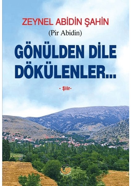 Gönülden Dile Dökülenler - Zeynel Abidin Şahin