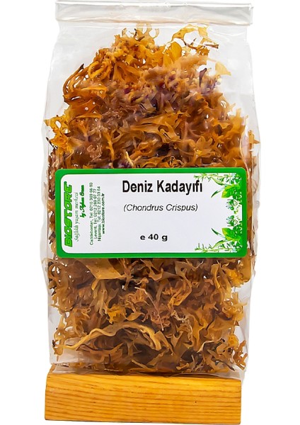 Deniz Kadayıfı 40 G