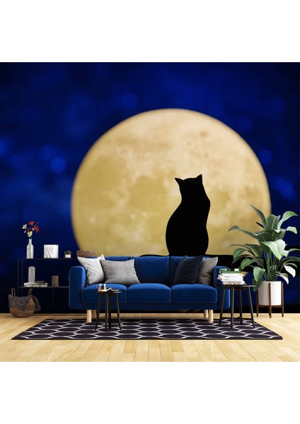 Kedi ve Ay Temalı