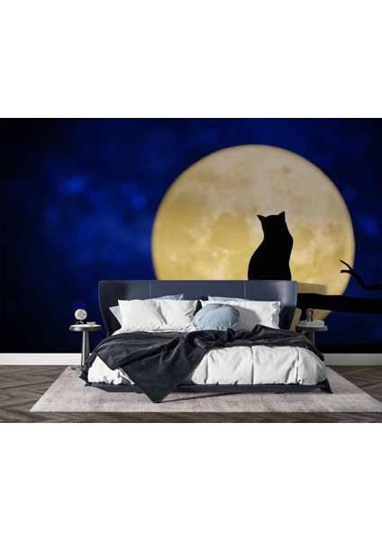 Kedi ve Ay Temalı