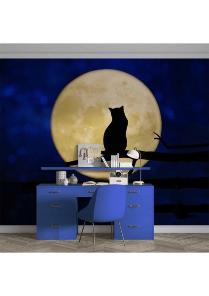 Kedi ve Ay Temalı