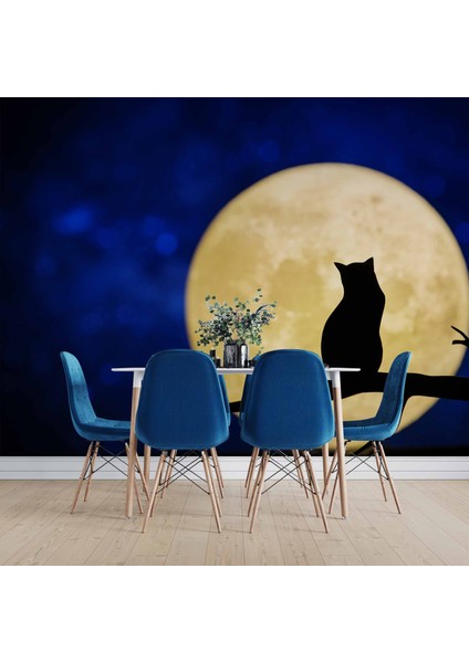 Kedi ve Ay Temalı