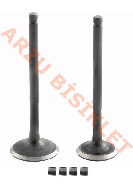 Subap Takımı [tırnaklı] [dq] Actıva-S