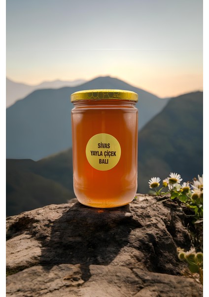 Sivas Yayla Çiçek Balı 850 gr