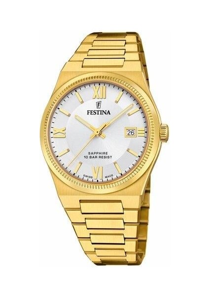 Festına Swıss F20038/1 Erkek Kol Saati