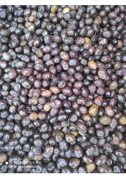 Siyah Zeytin ms 320-340