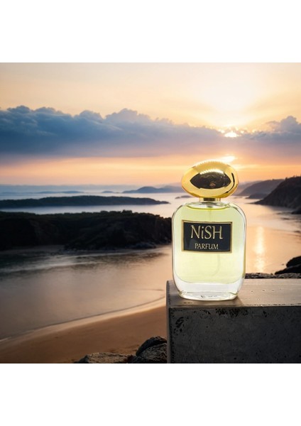 Parfum M-29 Extrait De Parfum 50ML Fresh