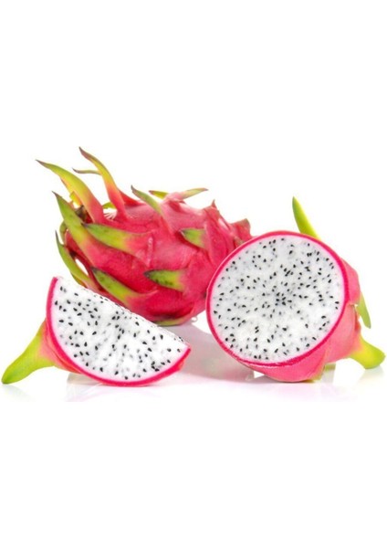 15 Adet Pitaya Tohumu Beyaz Pitaya Ağacı Tohum Ejder Meyvesi Tohumu + Saksı Toprak modelleri