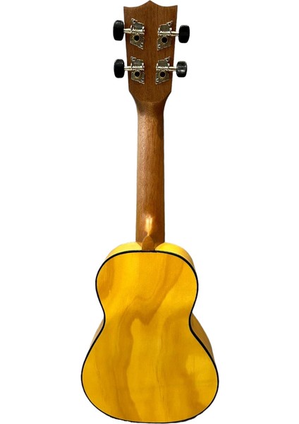 Ukulele fiyatları